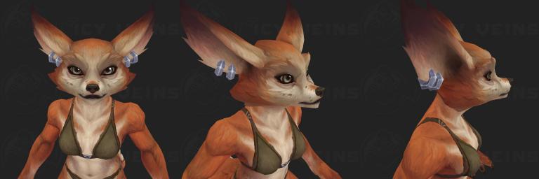 snout 1.jpg